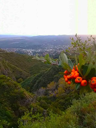 cerro la banderita trekking