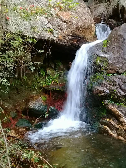 trekking cerro la banderita