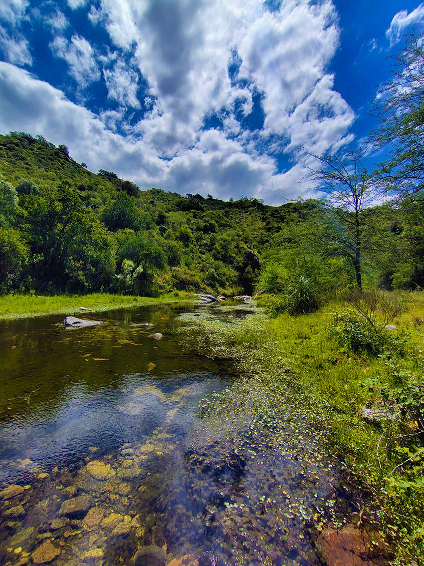 caminata + 50 trekking - amistad
