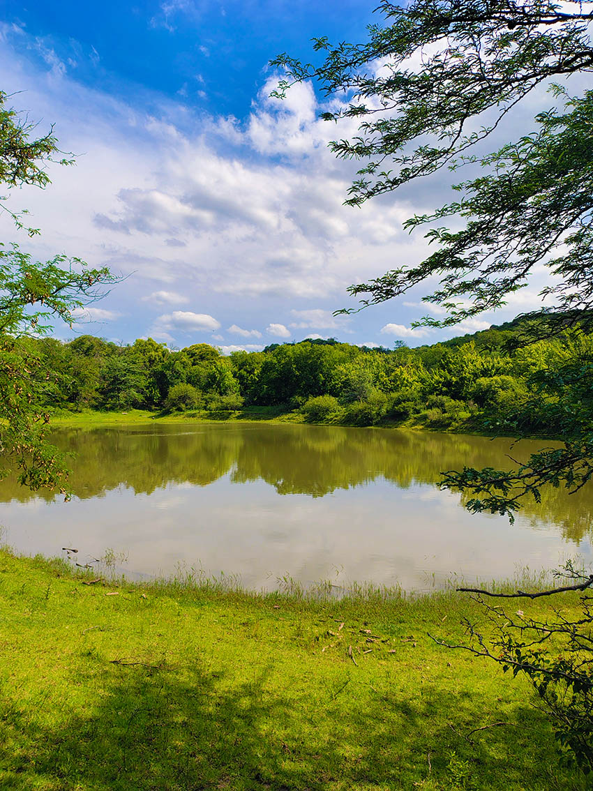 caminata + 50 trekking - amistad