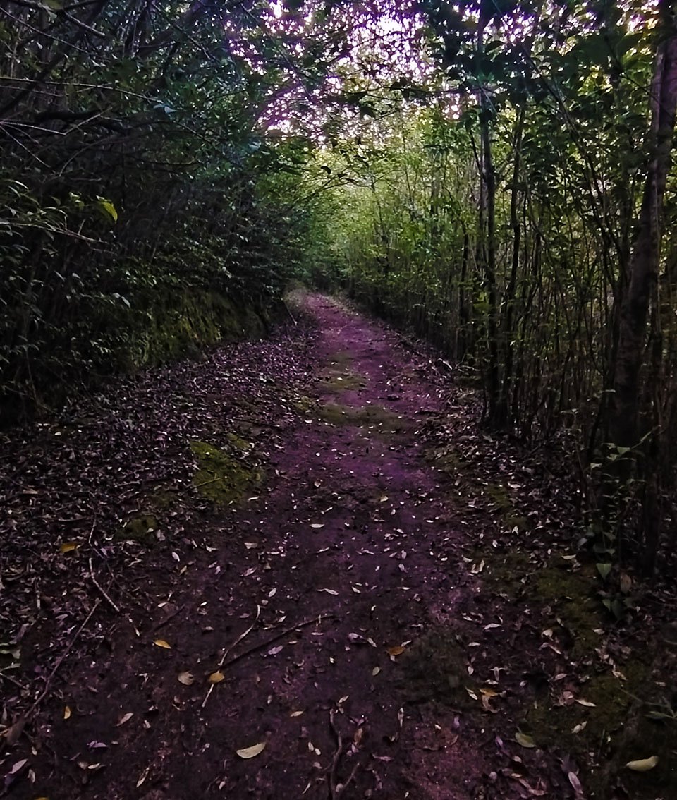 caminata + 50 trekking - amistad